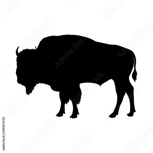 Black bison silhouette vector illustration, wildlife animal, north american buffalo mammal design art