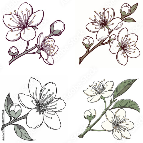 A guava flower icon with white petals and a 
cluster of stamens.