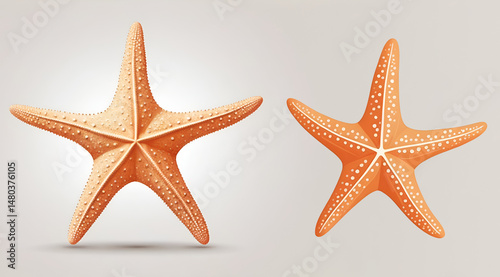 Starfish invertebrate appliance. Orange starfish with white spots isolated on transparent background. Concept of marine life, sea creature, summer vacation.