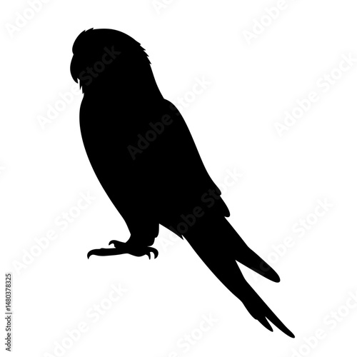 Silhouette of a parrot bird vector illustration exotic tropical wildlife avian pet animal design element isolated