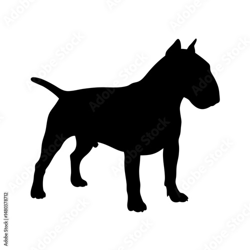 Bild auf Leinwand Bull terrier dog silhouette vector illustration featuring pet animal canine bree