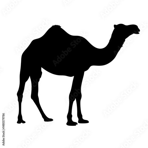 Camel silhouette vector illustration desert animal dromedary mammal wildlife africa arabian travel icon