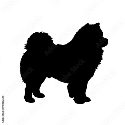 Silhouette of chow chow dog chow chow breed dog breed canine pet animal fluffy dog black chow chow