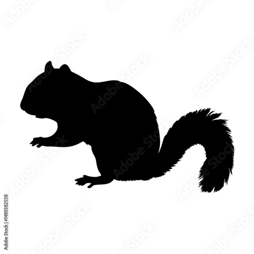 Squirrel silhouette vector illustration animal wildlife nature rodent mammal tree forest cute tail