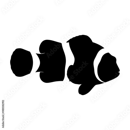 Clownfish anemonefish fish tropical reef ocean sea marine aquarium animal underwater black and white art