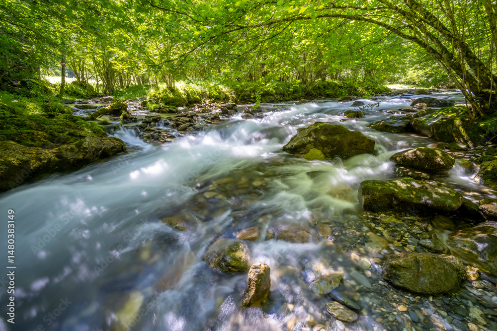 Obraz premium River flowing through green forest in Ustou, Ariege, France, Occitanie