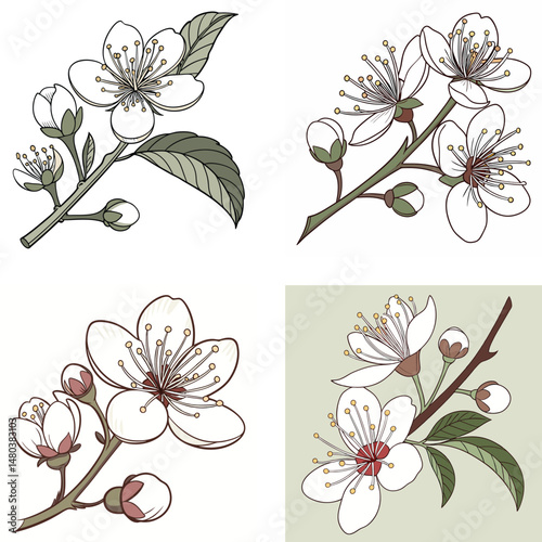 A guava flower icon with white petals and a 
cluster of stamens.