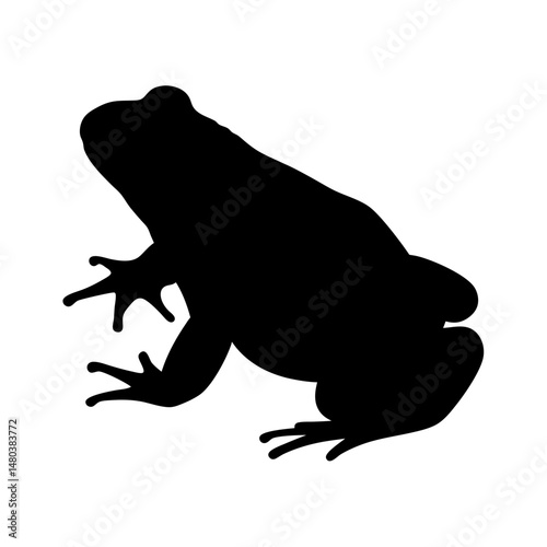 Frog amphibian wildlife nature animal silhouette toad reptilian vector illustration graphic art