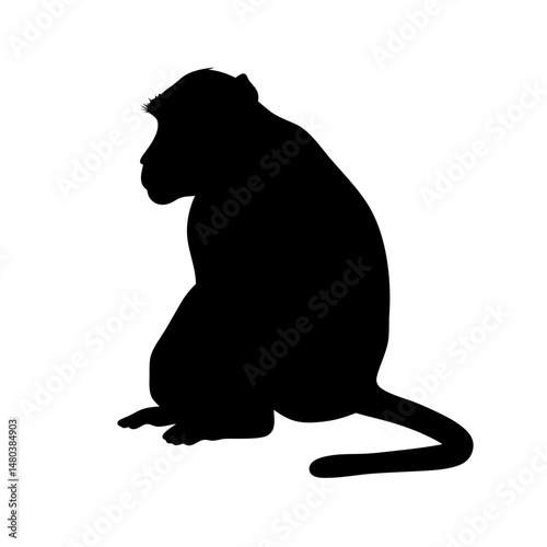 Monkey silhouette vector illustration primate animal wildlife ape mammal jungle design graphic art