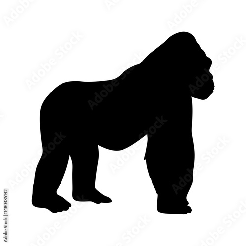 Silhouette of a gorilla ape primate mammal animal wildlife nature strength power jungle zoo africa