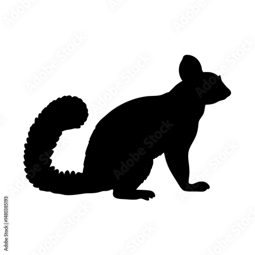 Squirrel silhouette vector art illustration drawing graphic design image animal rodent nature wild life vector