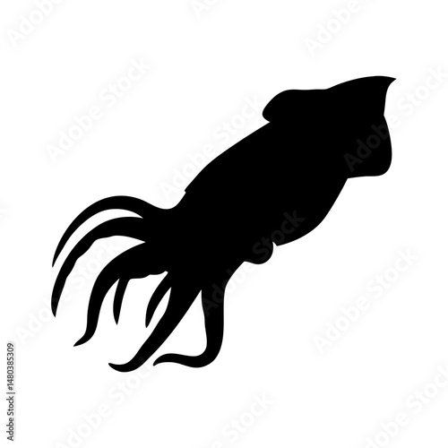 Silhouette squid cuttlefish cephalopod sea animal ocean wildlife marine creature vector graphic art