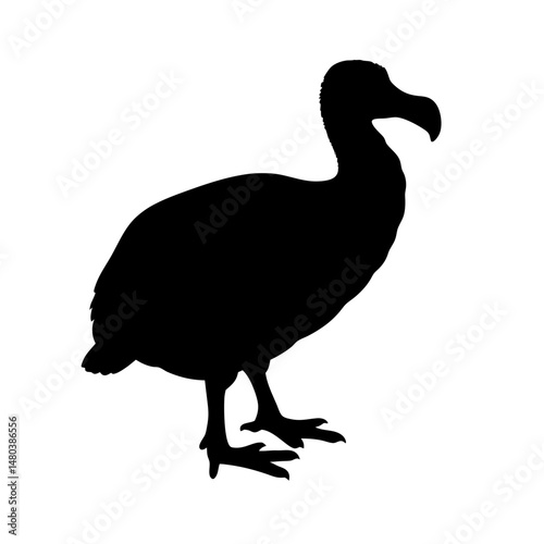 Dodo bird extinct animal silhouette illustration vector image dodo bird silhouette animal extinct bird
