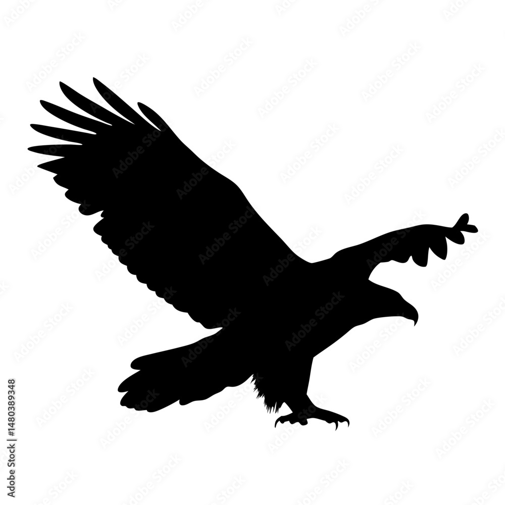 Obraz premium Eagle silhouette vector illustration flying bird of prey wildlife animal nature freedom falconry