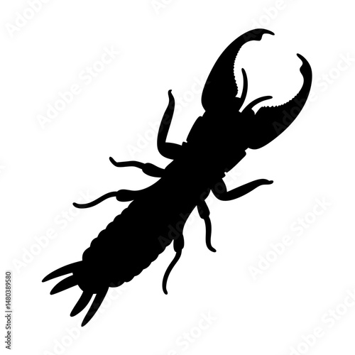 Discover the captivating world of earwigs explore the fascinating insect earwig insect vector art