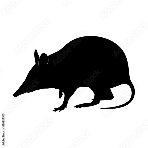 Explore the bandicoot silhouette vector art featuring wildlife animal illustration and mammal icon design