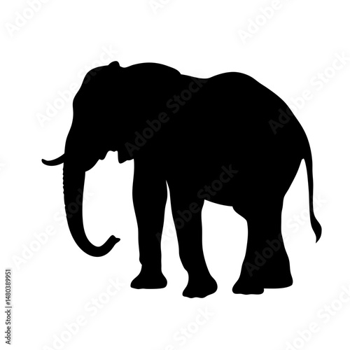 Elephant silhouette vector illustration african animal mammal wildlife safari jungle nature art design graphic