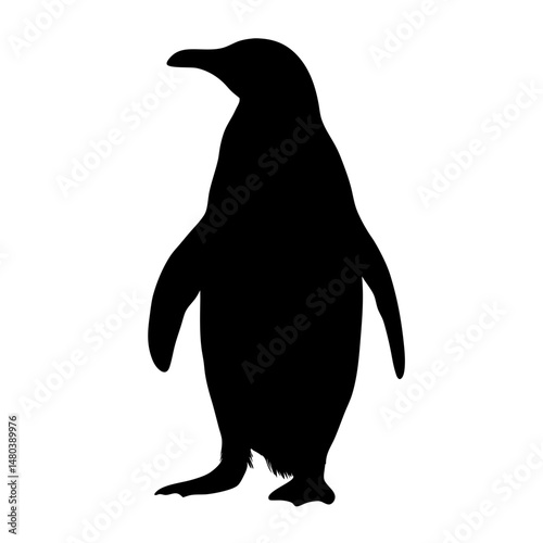Penguin silhouette vector illustration antarctic bird wildlife animal black and white design graphic image