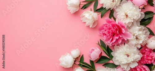 Stunning Pink and White Peonies Arrangement