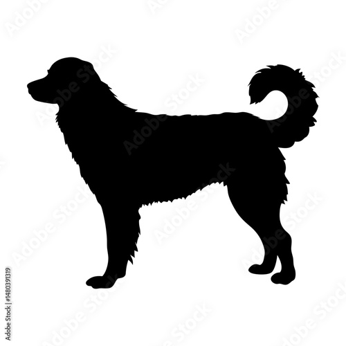 Black dog silhouette vector illustration of a furry pet animal canine mammal standing side view art
