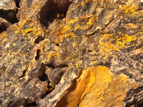 Textured Rock Surface with Black and Yellow Mineral Deposits