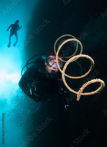 The divers  and spiral coral