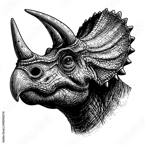 Triceratops Dinosaur Side View Detailed Black and White Outline Line Art Drawing Illustration