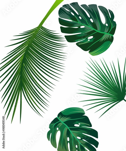 palm tree branch