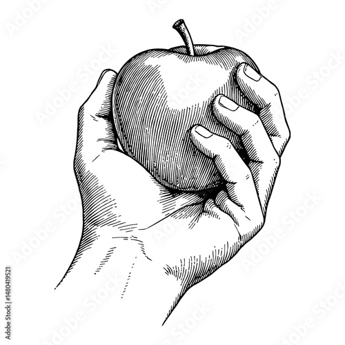 Hand Holding Fresh Apple Fruit Black and White Outline Line Art Drawing Style Illustration