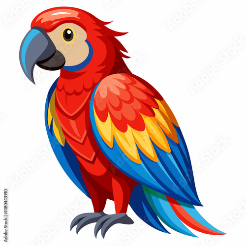 parrot on white background