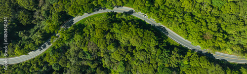 Car in rural road in deep rain forest with green tree forest view from above, Aerial view car in the forest on asphalt road background, Electric vehicle EV car drive asphalt road green tree forest