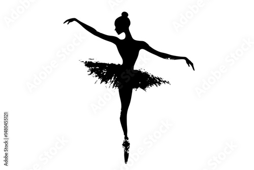 Graceful Ballet Dancer with Dramatic Splash