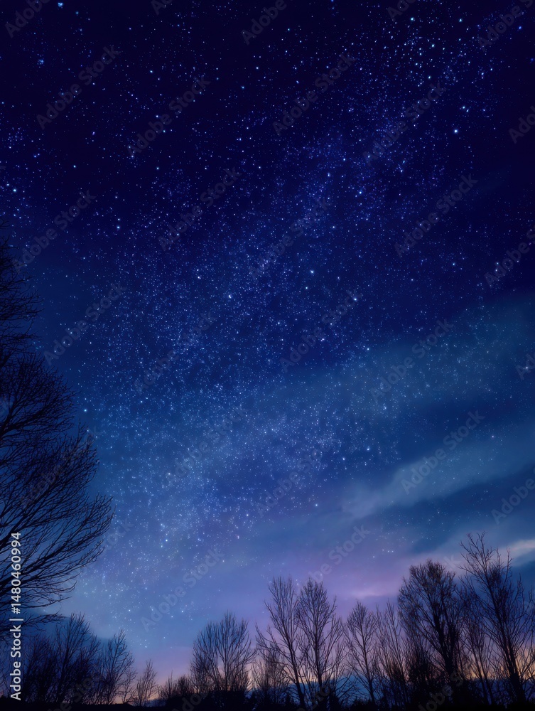 Fototapeta premium Night sky with stars over silhouetted trees in rural landscape; long exposure, astronomical view, astrophotography