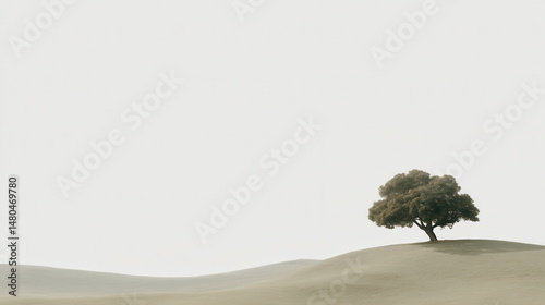 serene landscape featuring single tree in light minimalist style emphasizing simplicity and tranquility