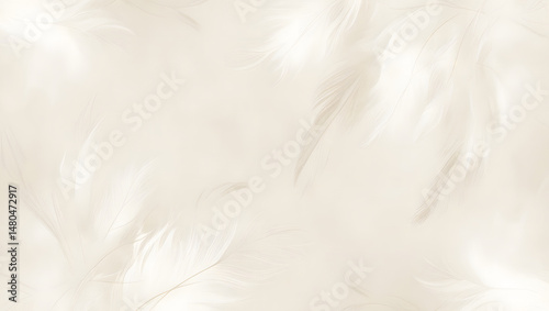 backround best photo