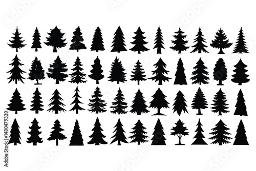 Set of 48 Black Silhouette Pine Trees - Vector Collection