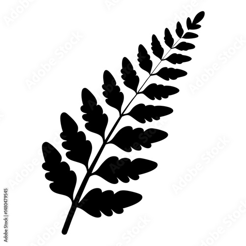 Monochrome fern branch silhouette with smooth leaves isolated on a white background