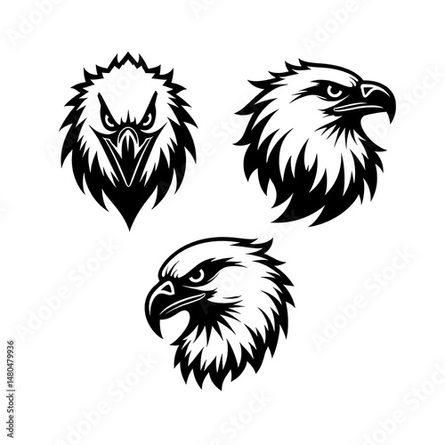 Fierce Eagle Head Vector Illustrations in Black and White