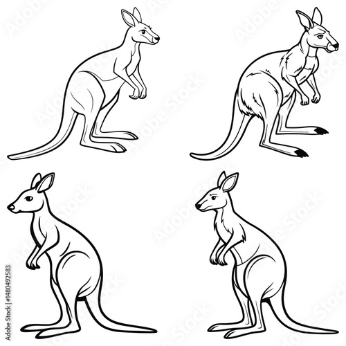 Bundle set kangroo icon continuous one line drawing outline eps 10
