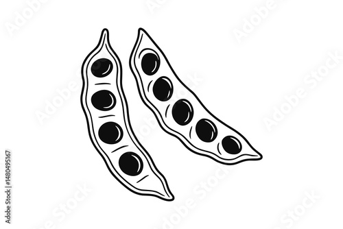 Black and white outline drawing of two legume pods full of seeds.