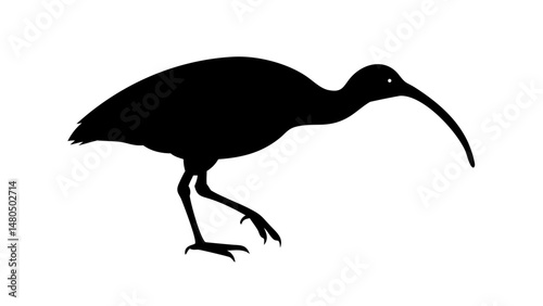 Ibis Bird Silhouette Vector Graphic