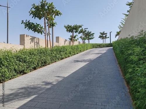 Interlock path with stairs and road between landscaping area. Green Landscaping with Trees on both side of interlock ramp. Houses or Villa's beside Padestrian ramp pathway stairs with Cloudy SKY.