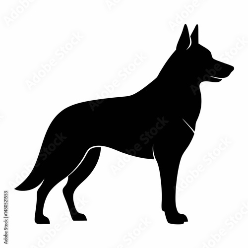 dog vector illustration of a German Shepherd  dog
