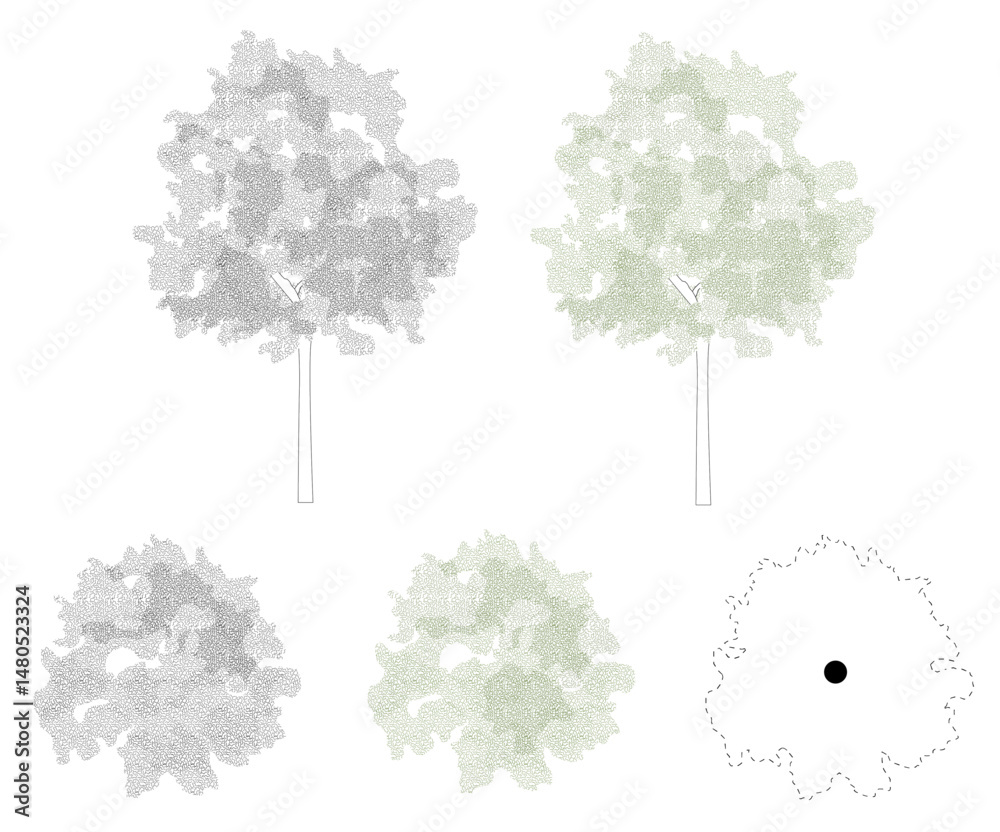 Trees in elevation and plan view for use in architectural drawings	
