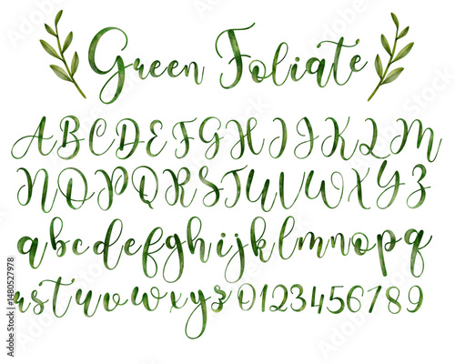 Set of green watercolor alphabet uppercase and lowercase letters and number vector