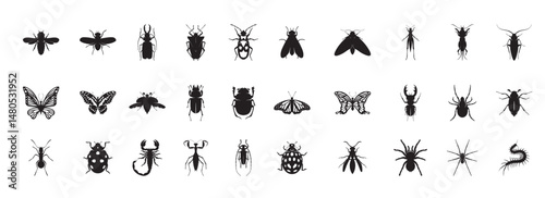 Set of Insects