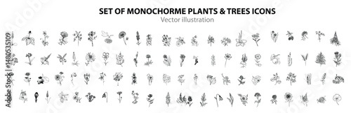 Plant Illustrations in Art Ink Style