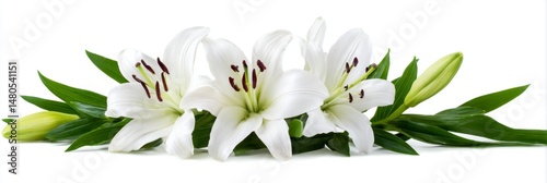 Elegant White Lily Wreath - Three pristine white lilies arranged in a wreath, symbolizing purity, peace, sympathy, remembrance, and beauty. A delicate and elegant floral design
