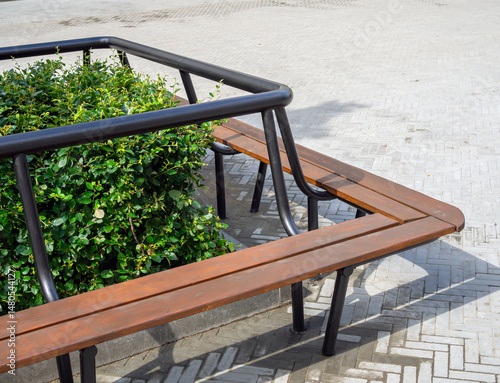 A fragment of a bench, built around a planted bush