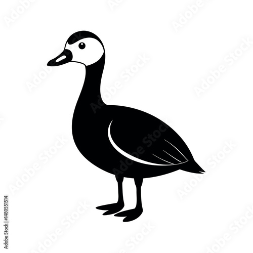 White Faced Whistling Duck Vector Silhouette